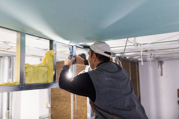 Best Blown-in Insulation  in Des Peres, MO