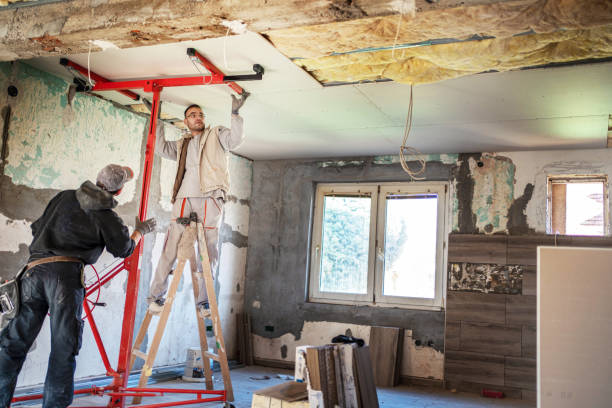 Best Cellulose Insulation  in Des Peres, MO