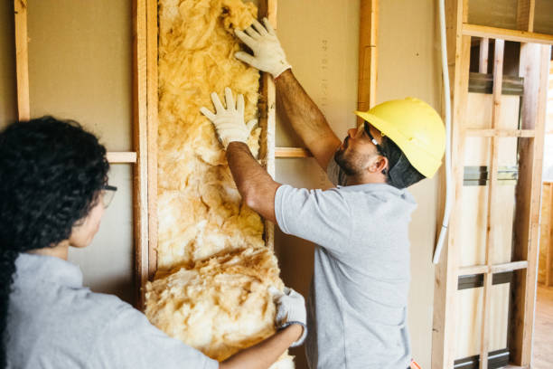 Best Attic Insulation Installation  in Des Peres, MO
