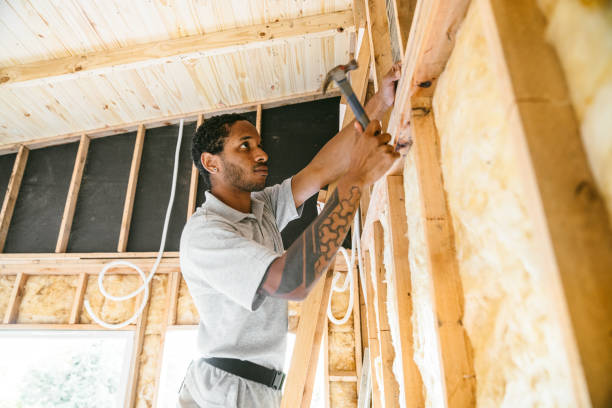 Best Wall Insulation Contractor  in Des Peres, MO