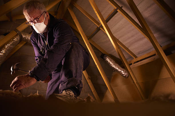 Best Residential Insulation Services  in Des Peres, MO